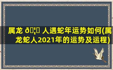 属龙 🦈 人遇蛇年运势如何(属龙蛇人2021年的运势及运程)